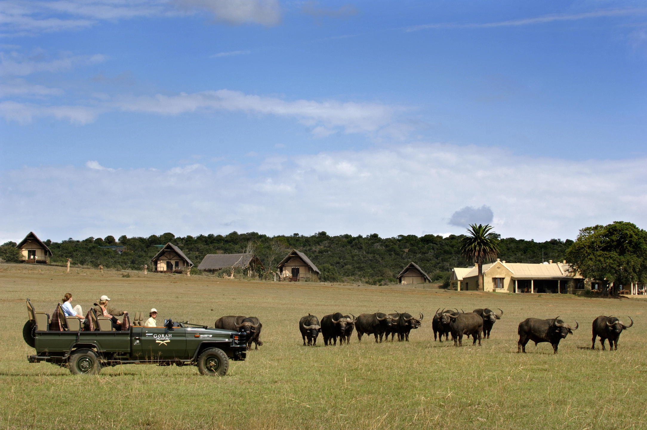 GORAH ELEPHANT CAMP