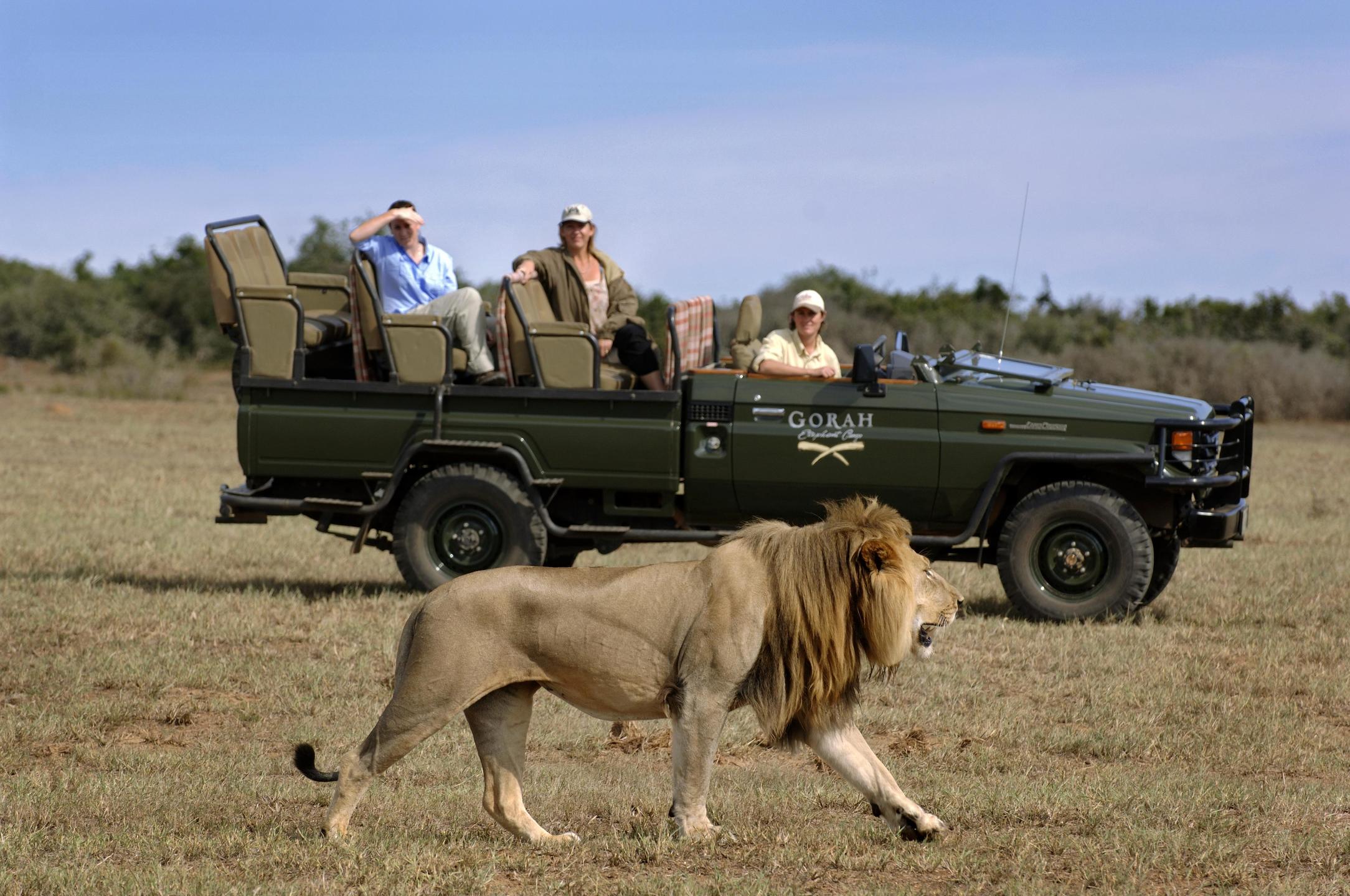 GORAH ELEPHANT CAMP