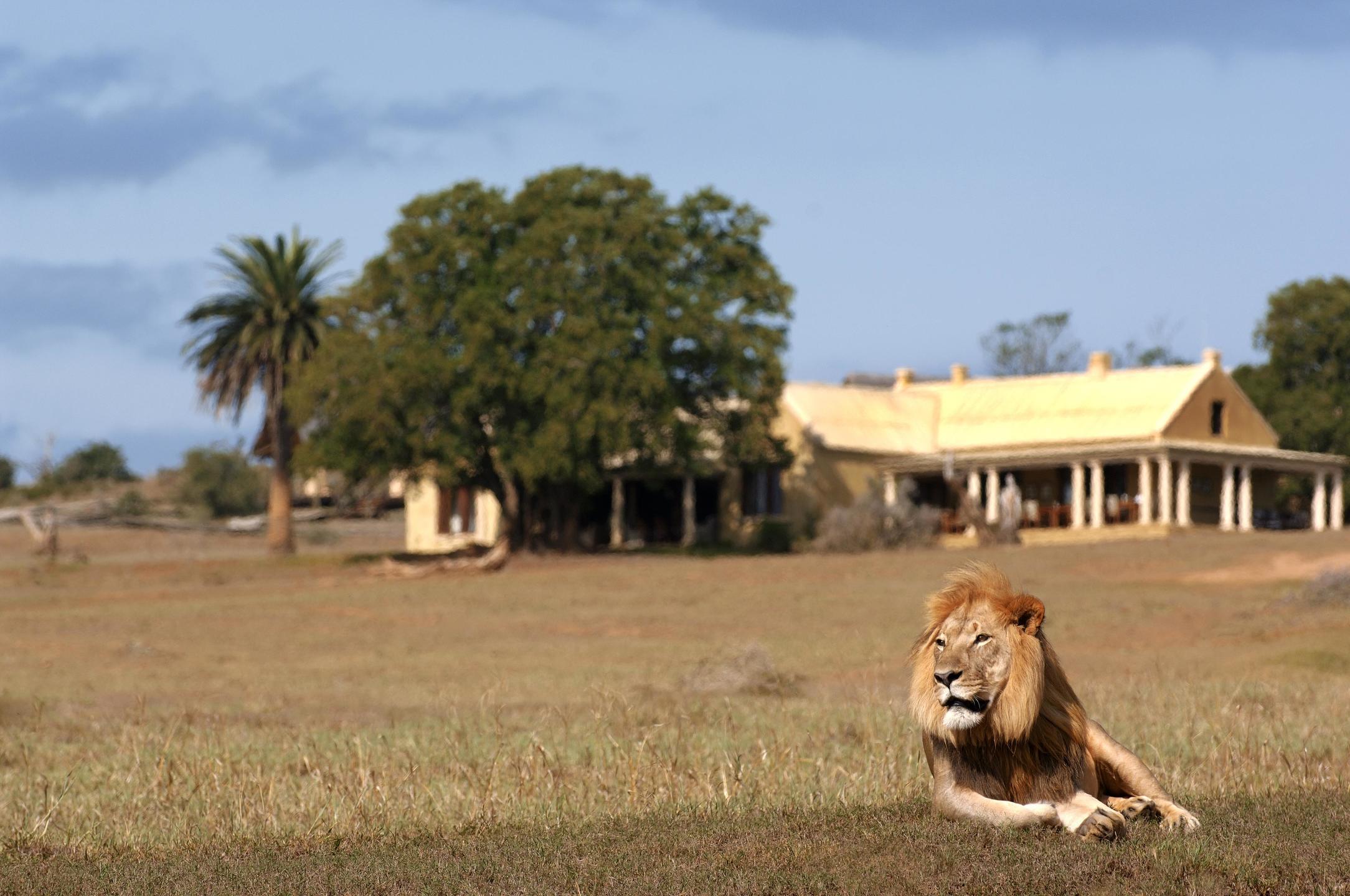 GORAH ELEPHANT CAMP