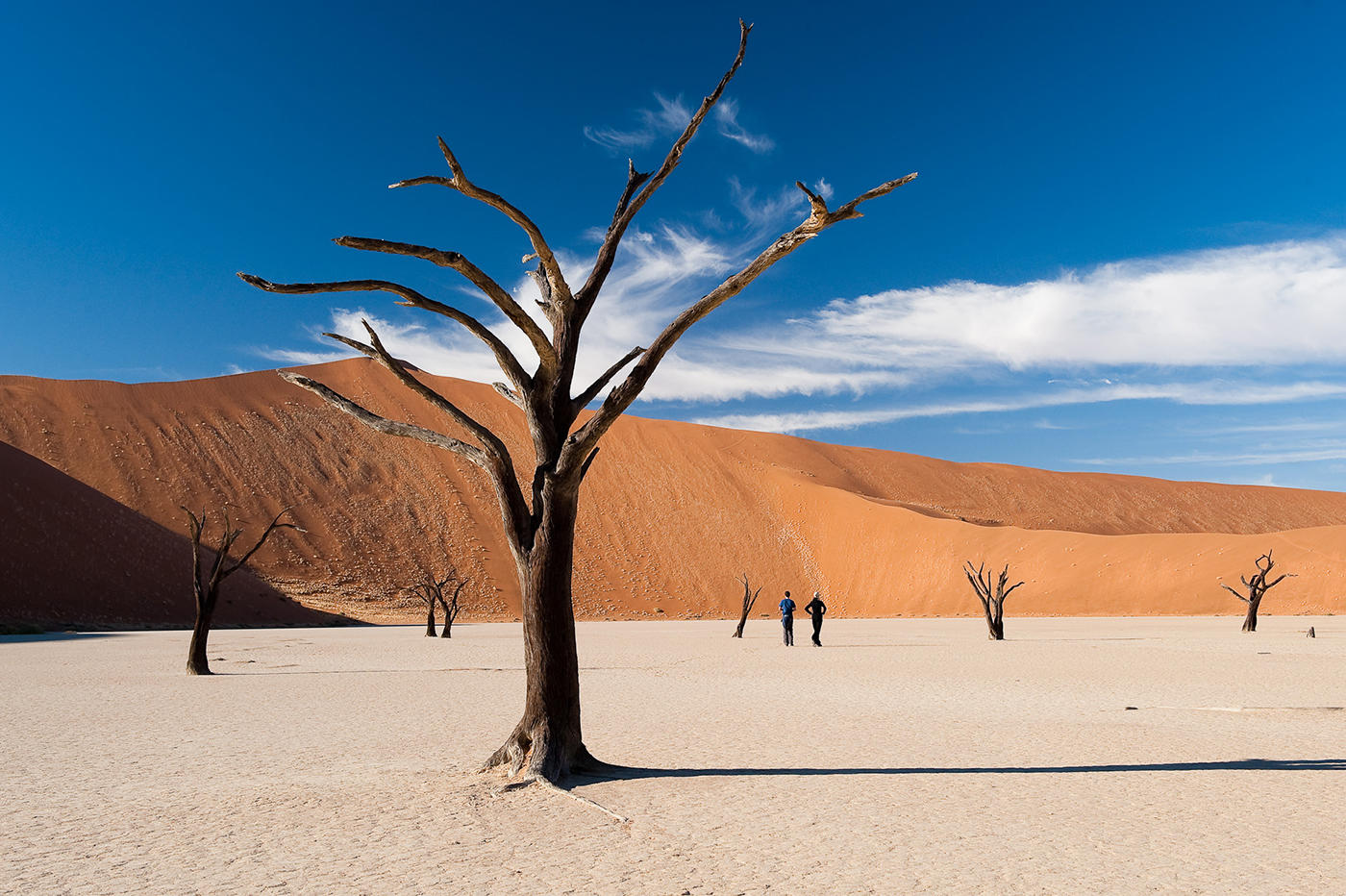 KULALA DESERT LODGE
