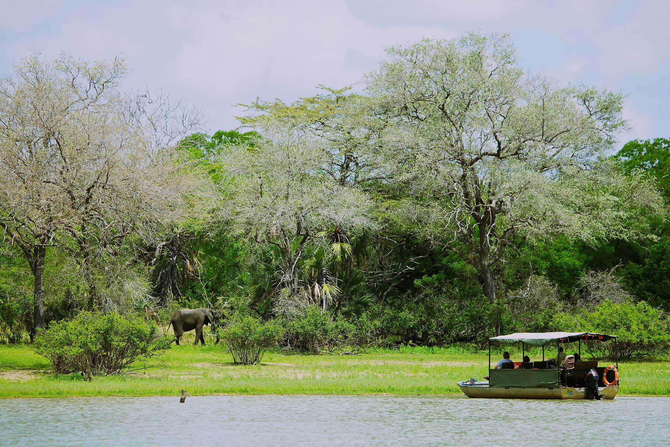 RUFIJI RIVER CAMP