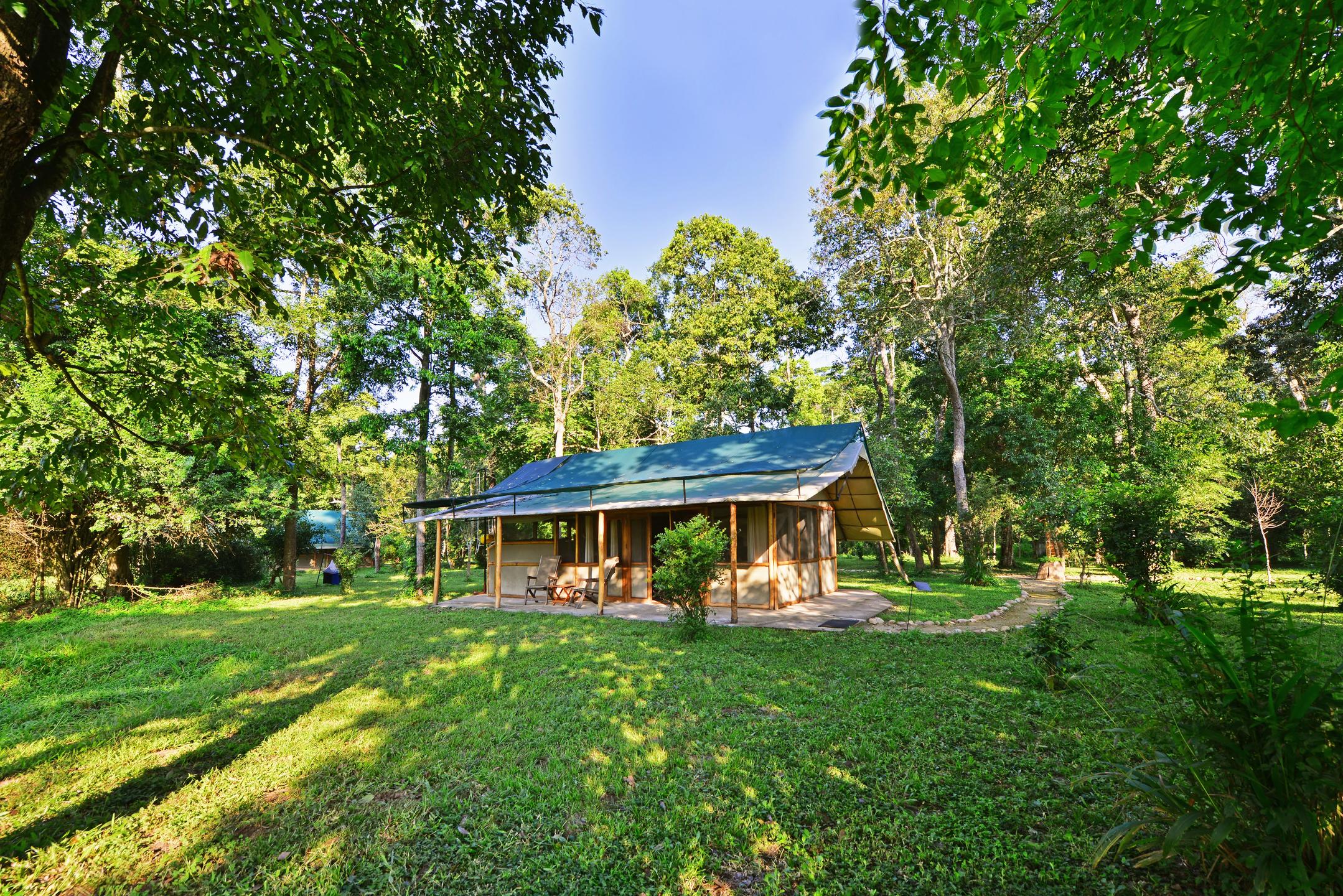 ISHASHA WILDERNESS CAMP