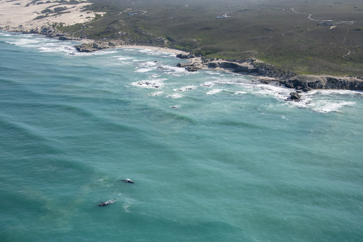 MORUKURU OCEAN HOUSE