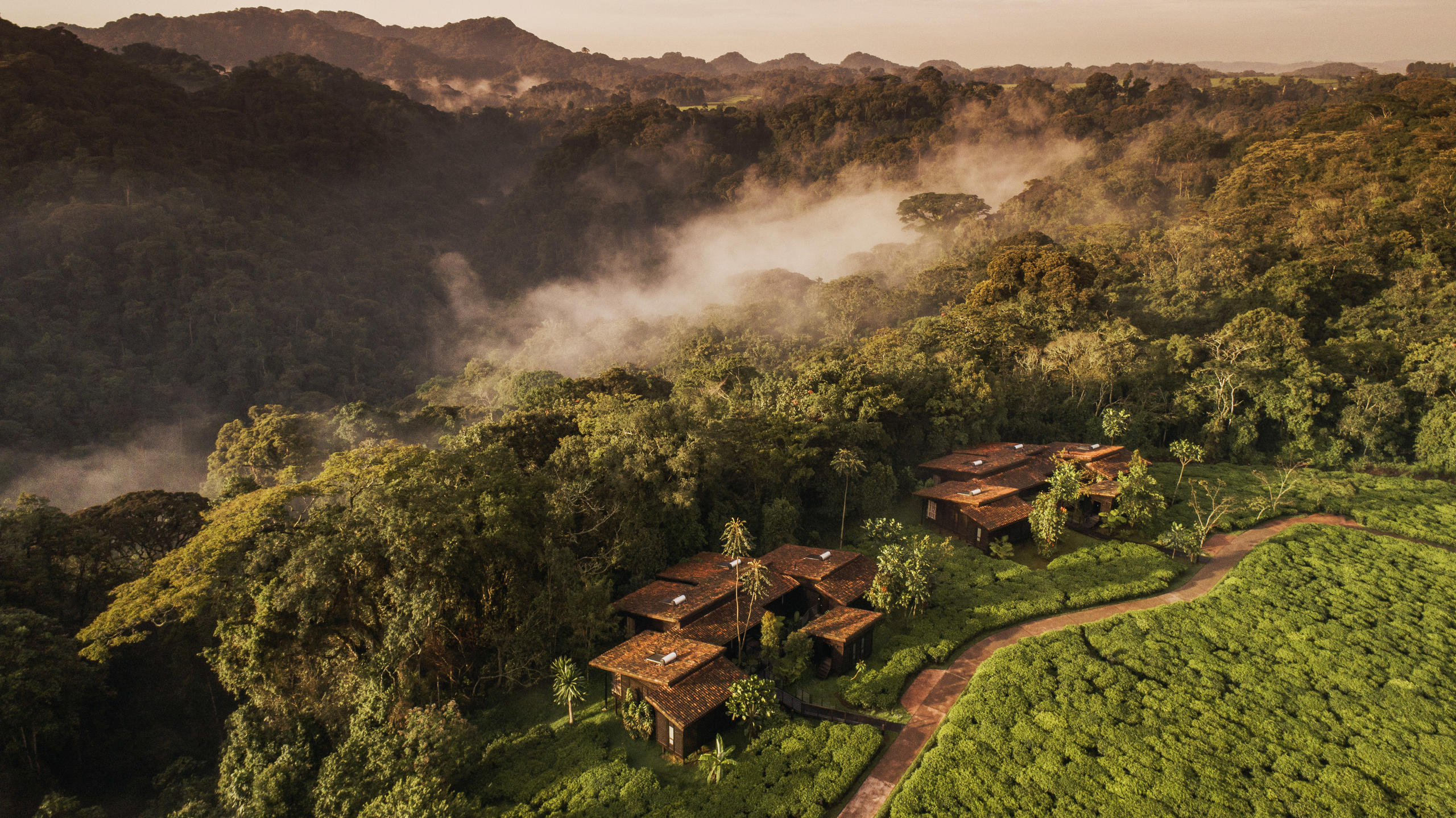 Nyungwe House