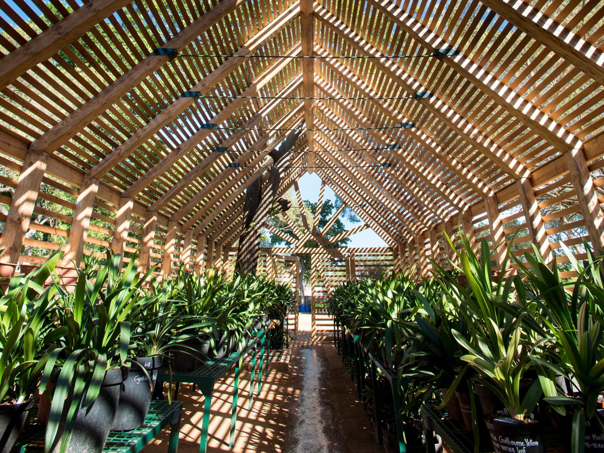 BABYLONSTOREN