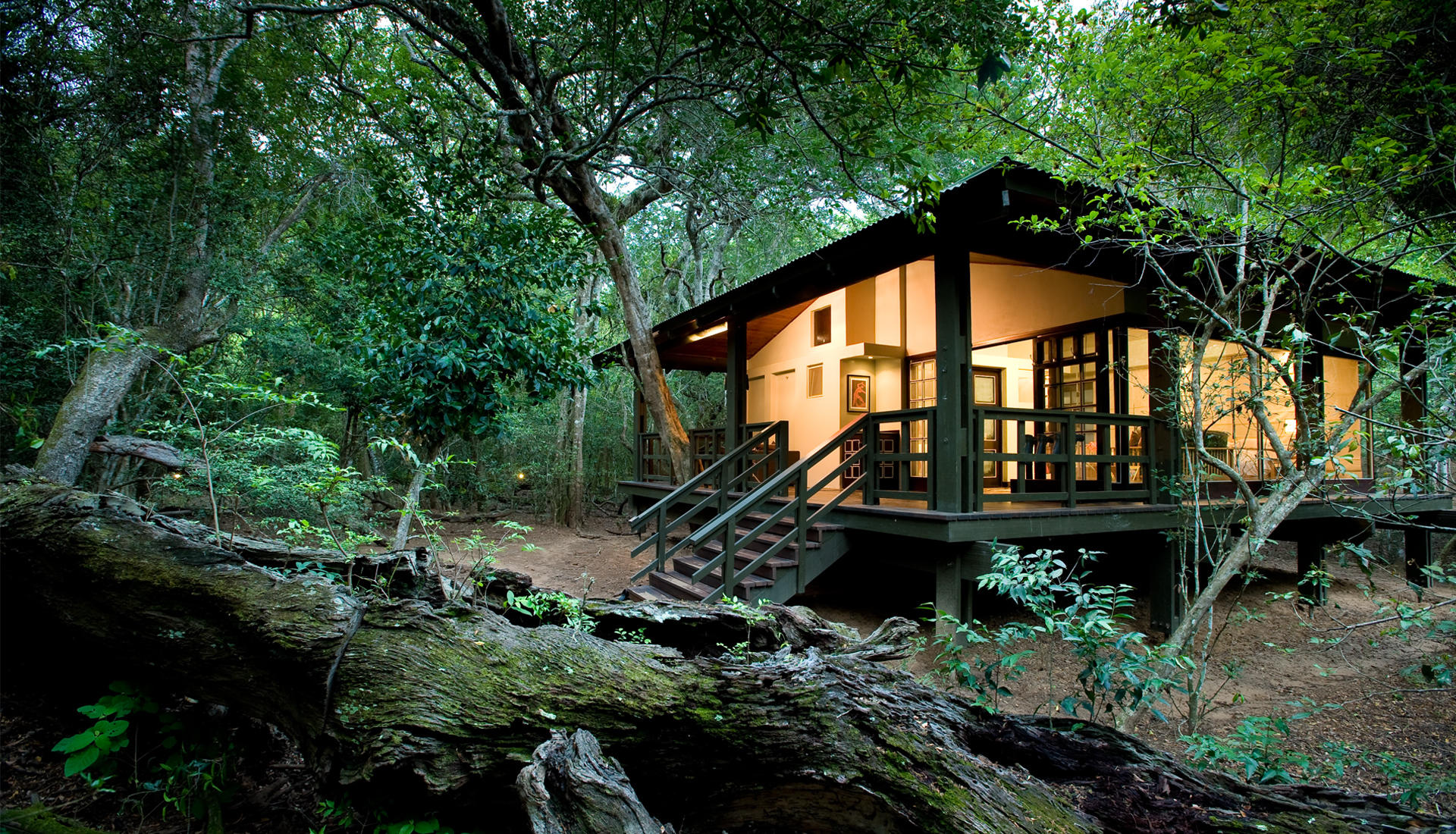 Forest Lodge