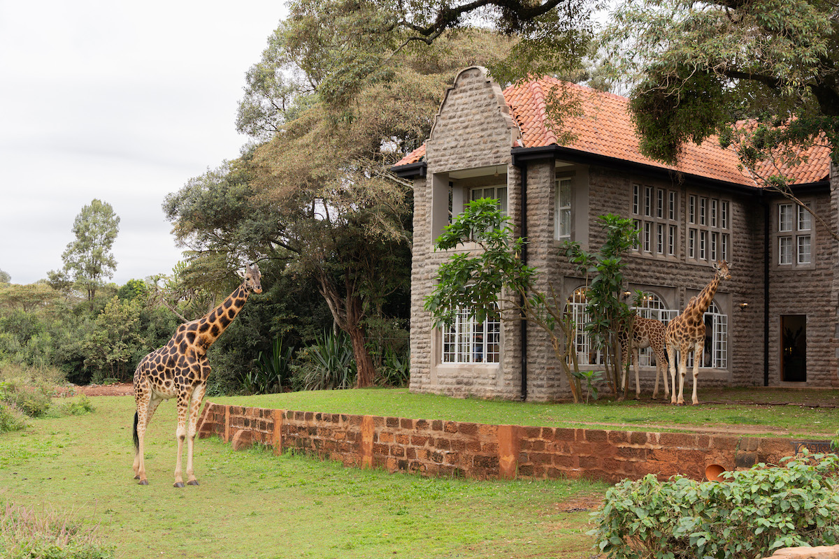 GIRAFFE MANOR
