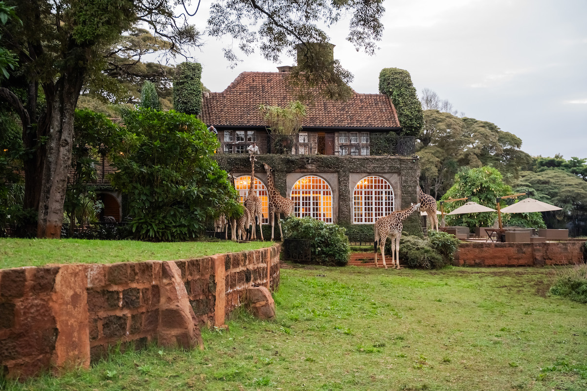GIRAFFE MANOR