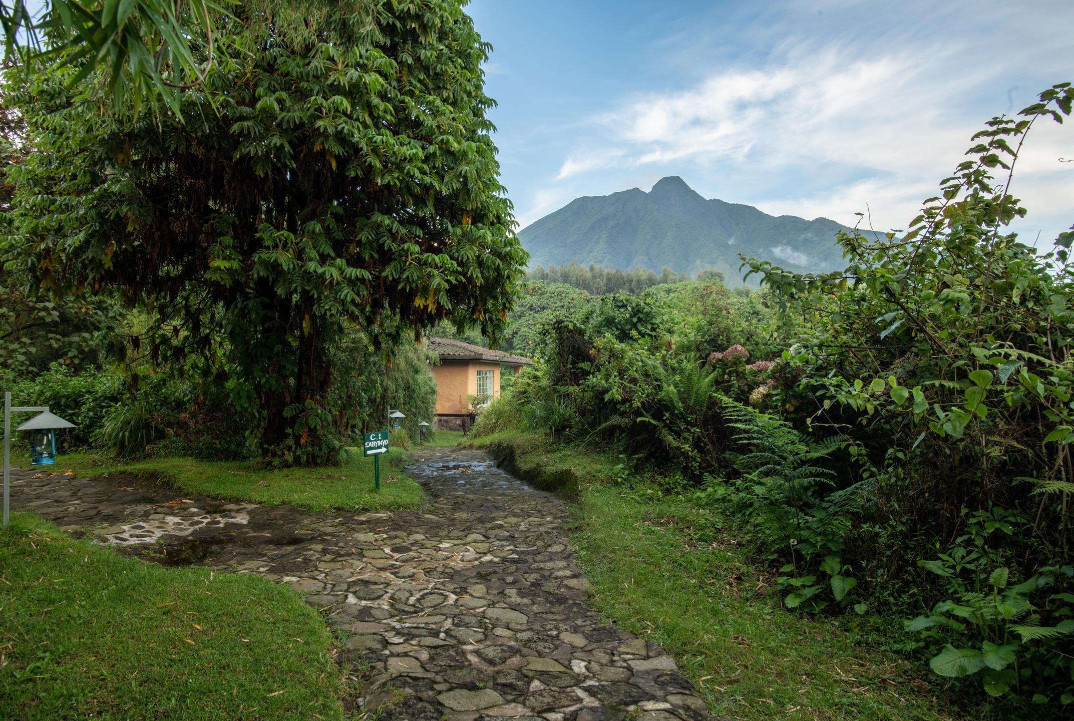 SABYINYO SILVERBACK LODGE