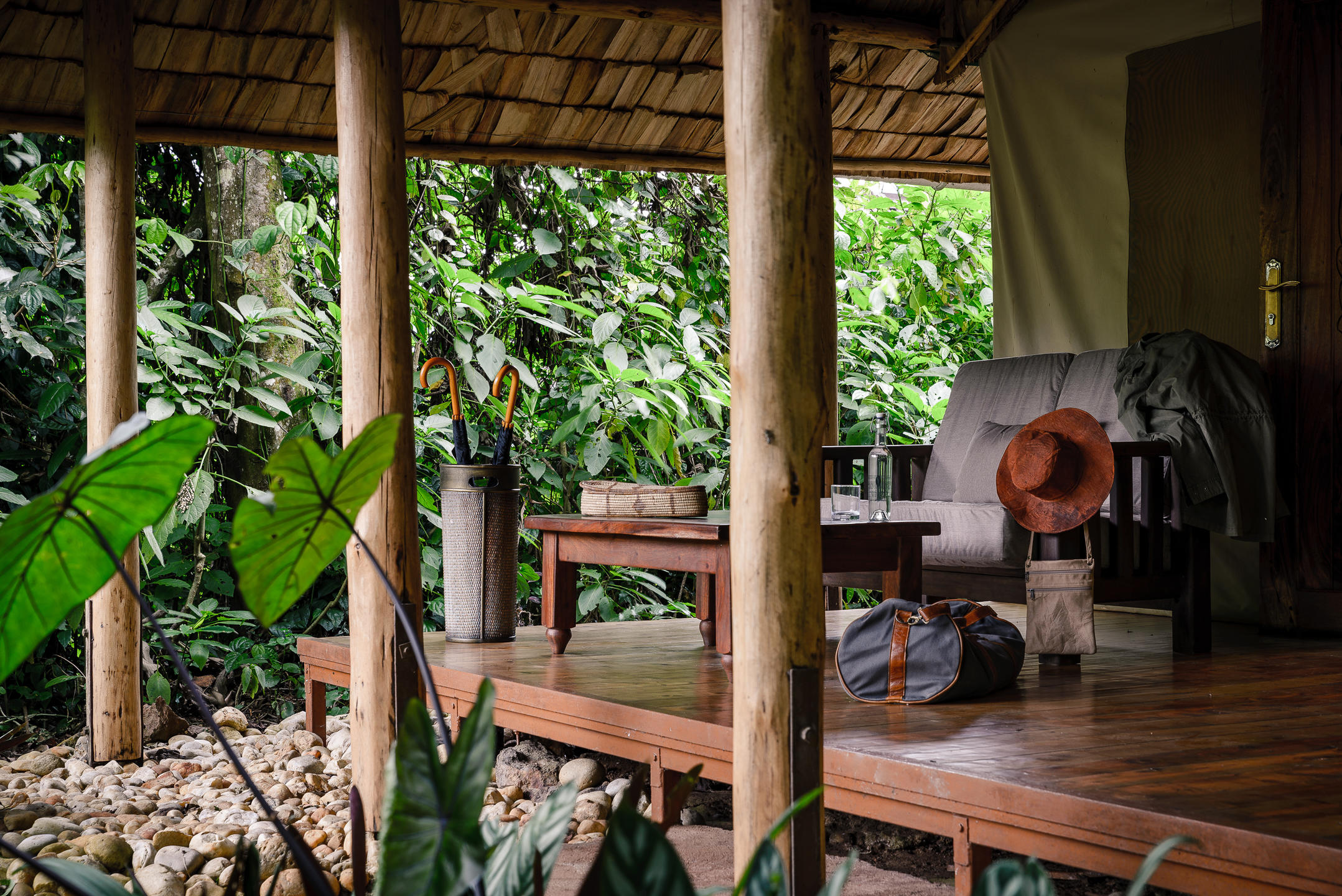 GORILLA FOREST CAMP