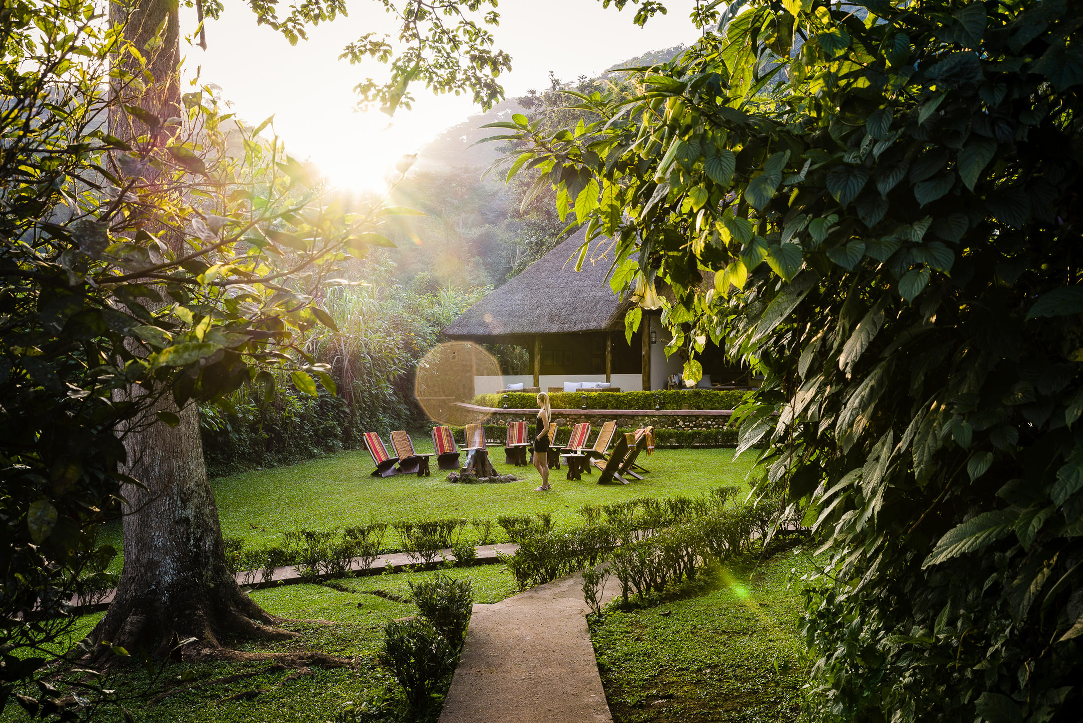 Gorilla Forest Camp