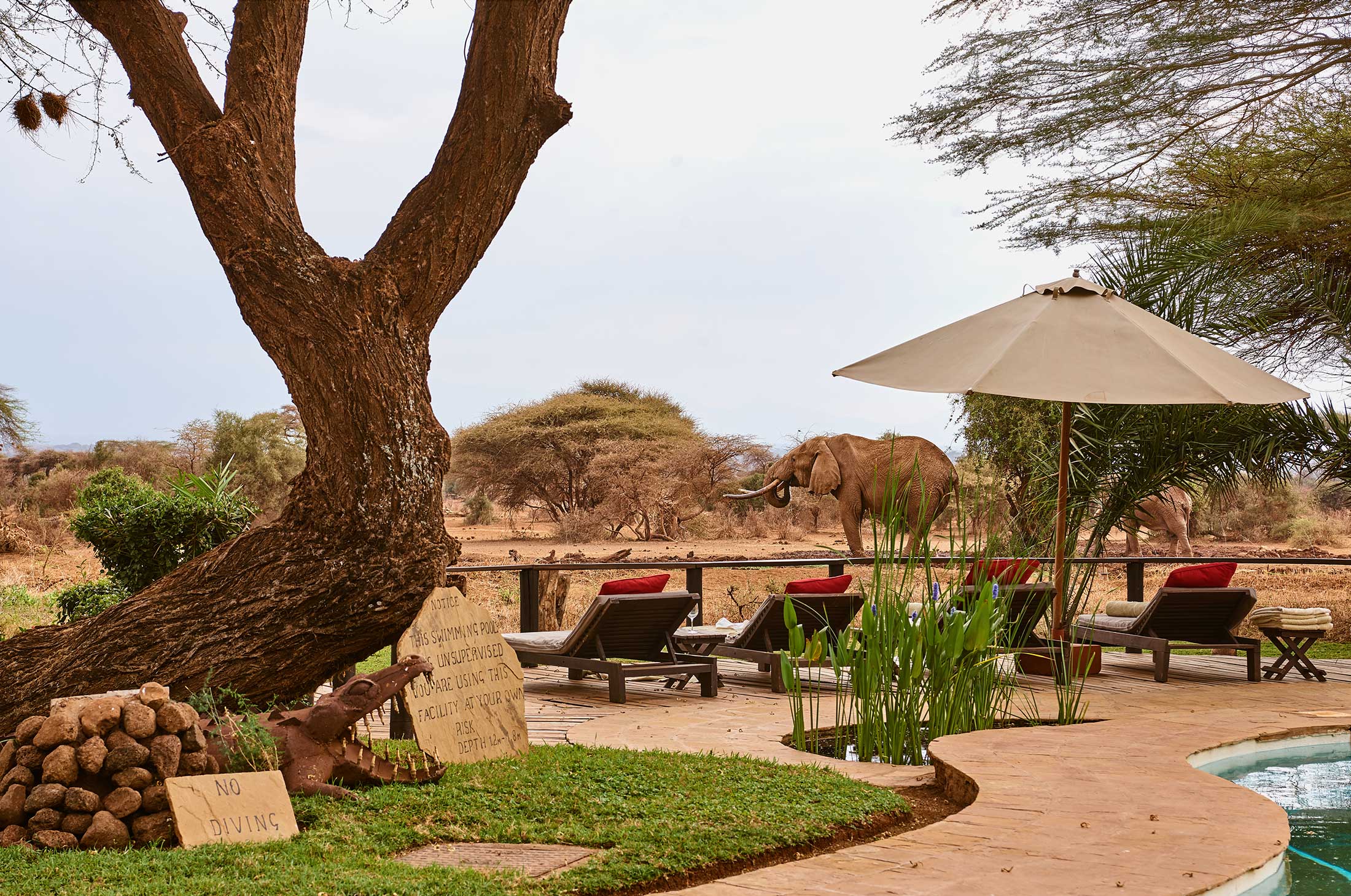 TAWI LODGE