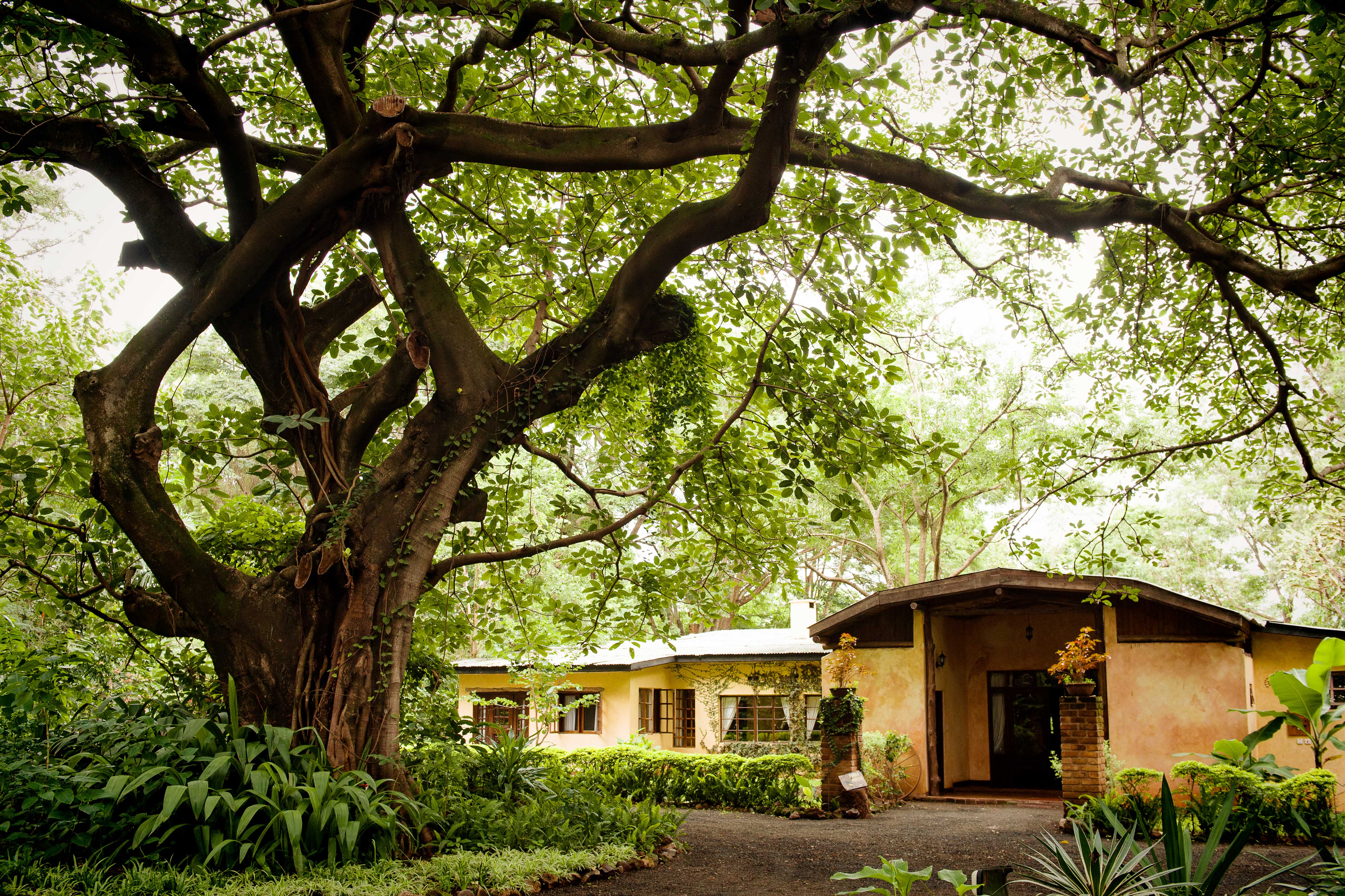 RIVERTREES COUNTRY INN