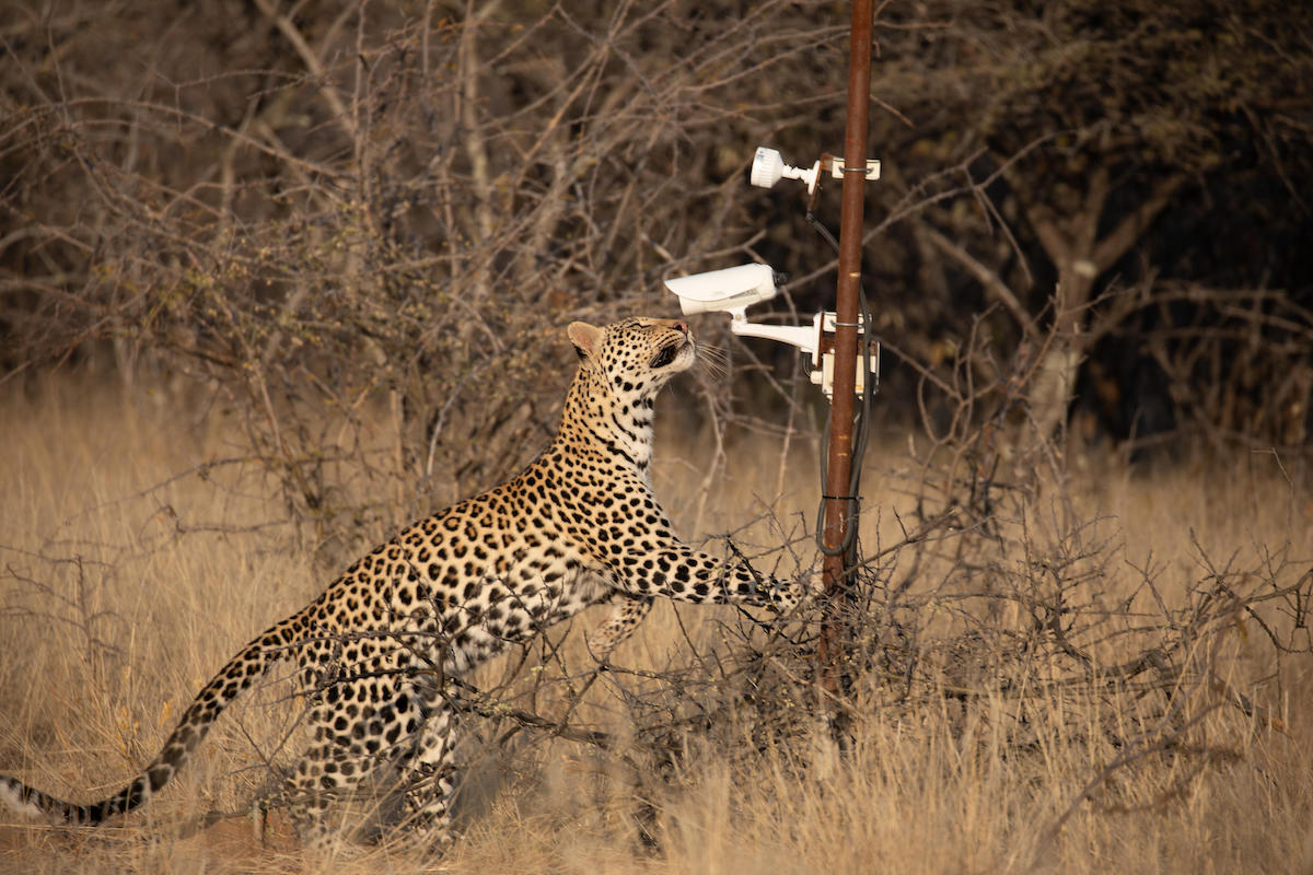 OKONJIMA LUXURY BUSH CAMP