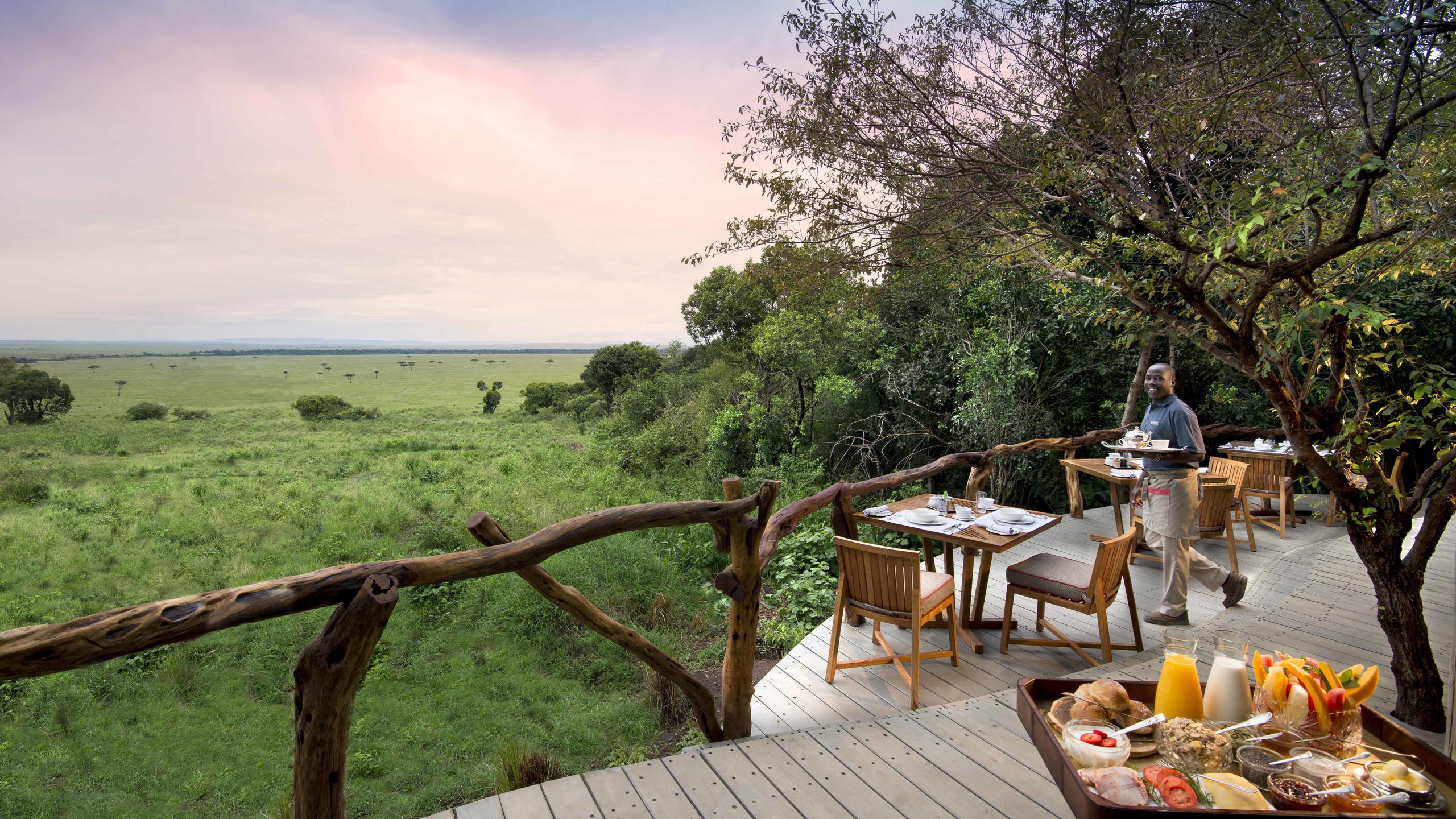 BATELEUR CAMP