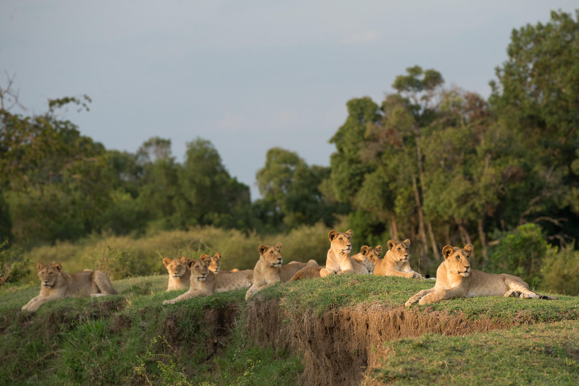 KICHECHE BUSH CAMP