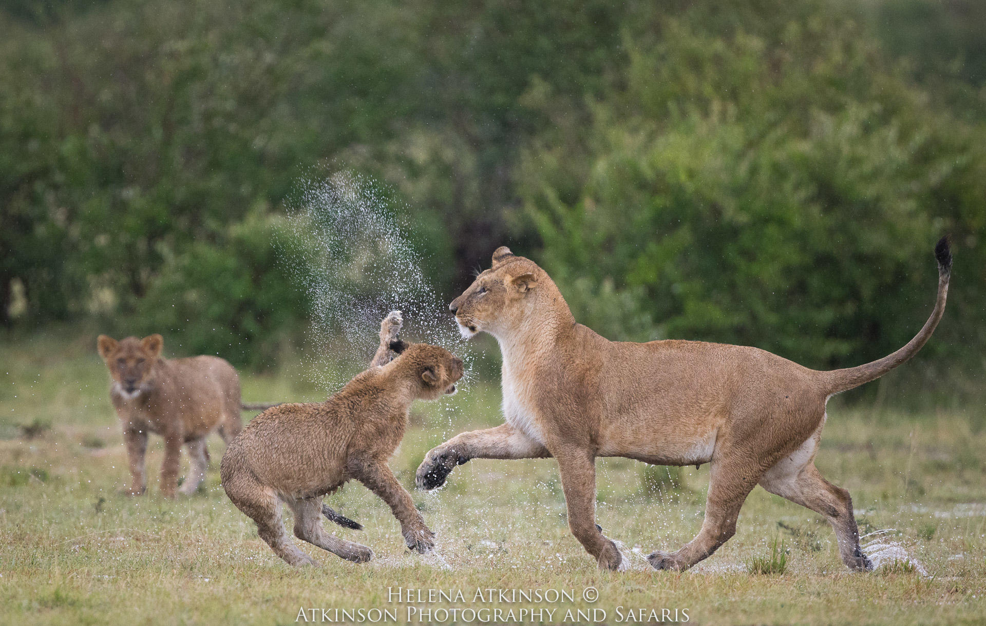 KICHECHE BUSH CAMP