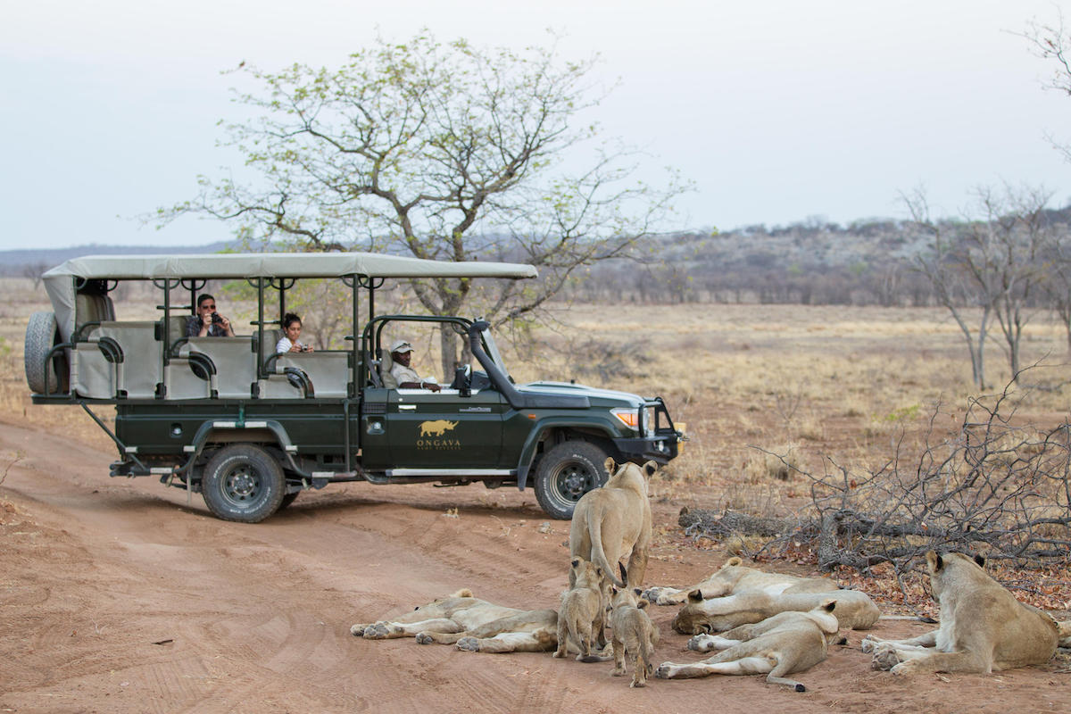 ANDERSSONS AT ONGAVA