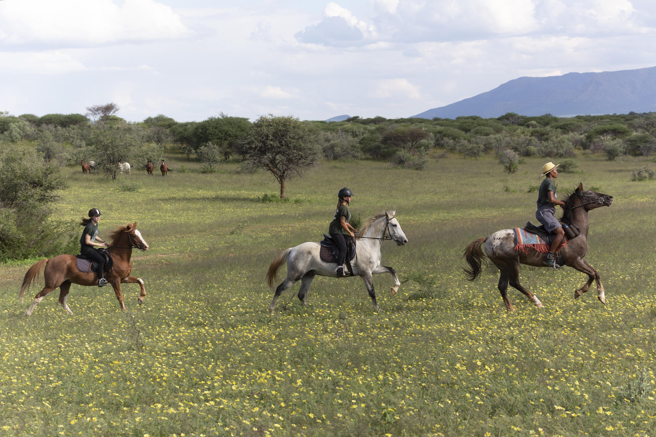 NAANKUSE LODGE