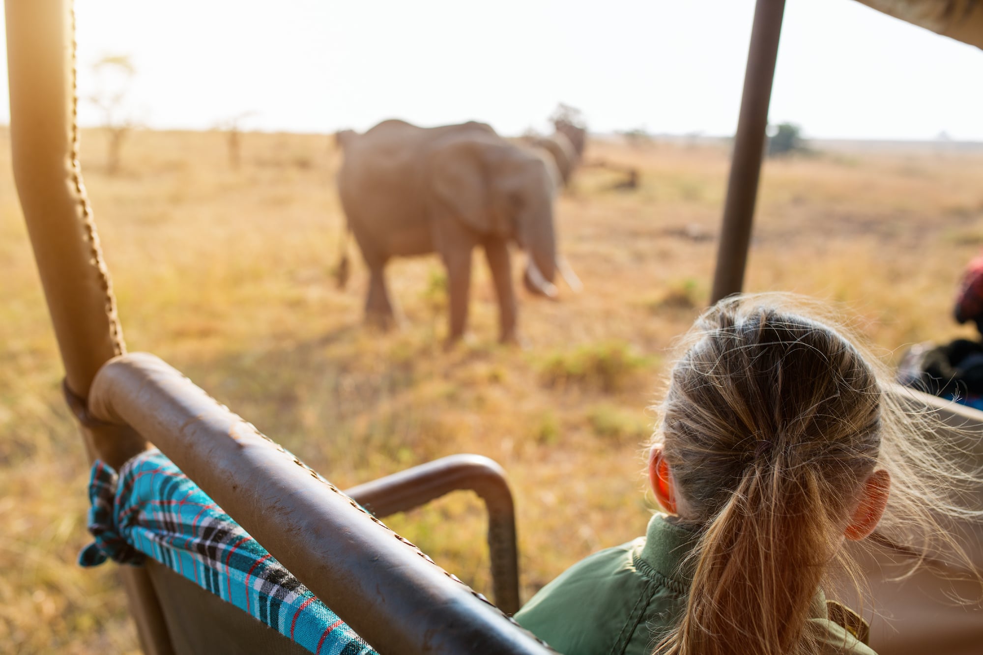 Family Safari