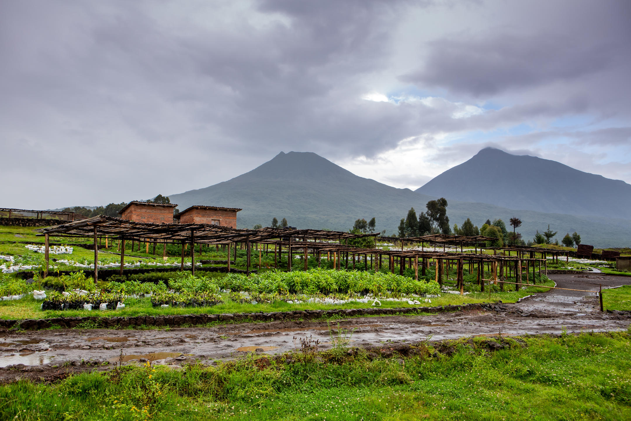KWITONDA LODGE
