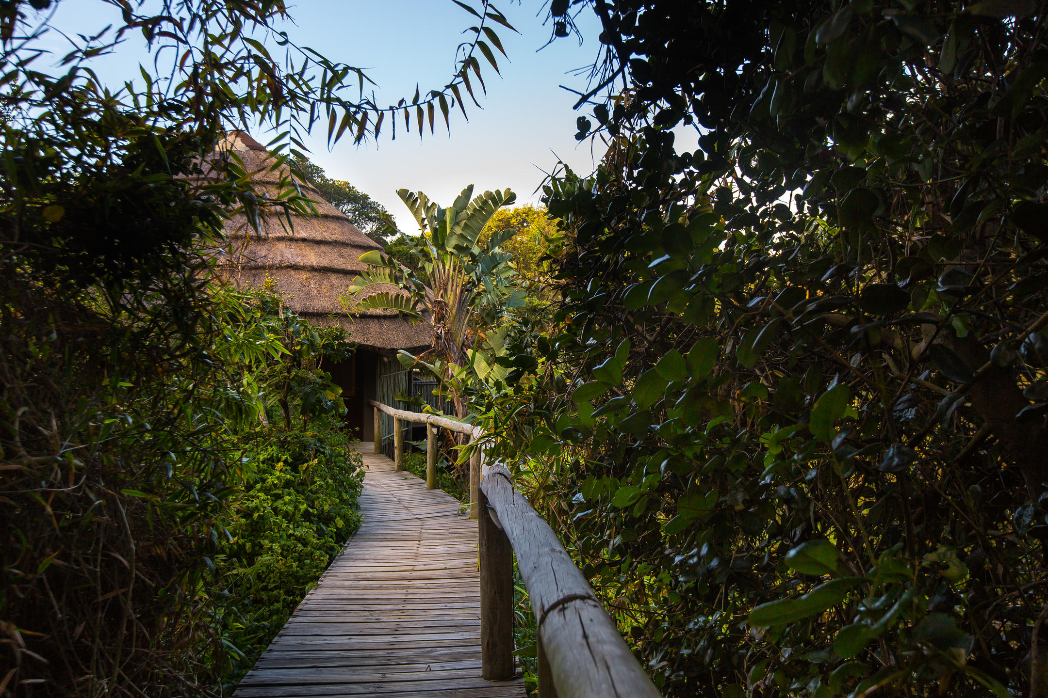 THONGA BEACH LODGE