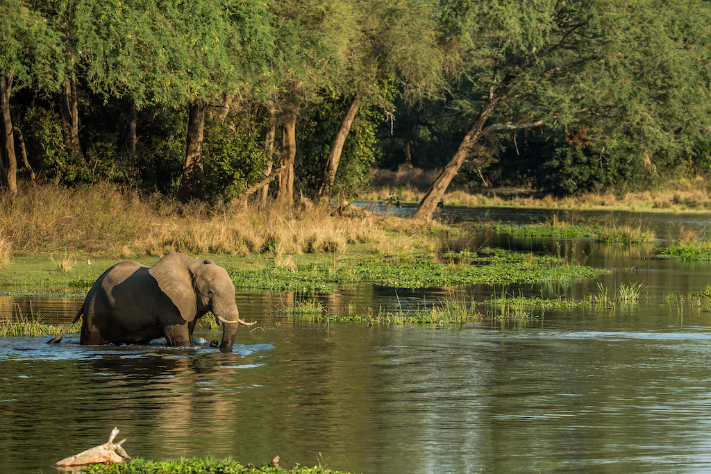 BEST OF ZAMBIA