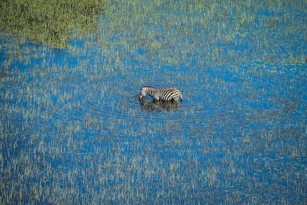 GENUINE BOTSWANA