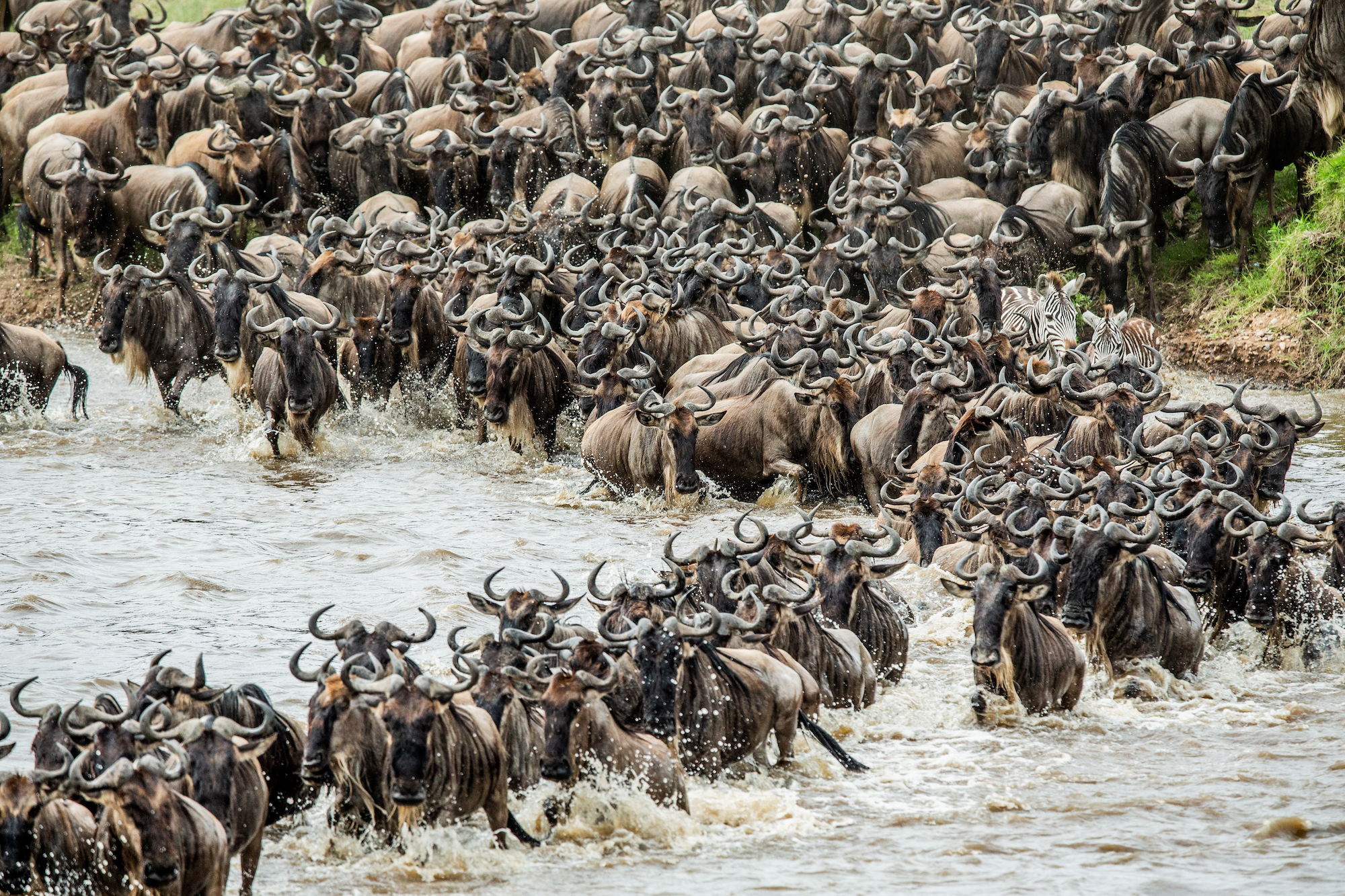 Tanzania