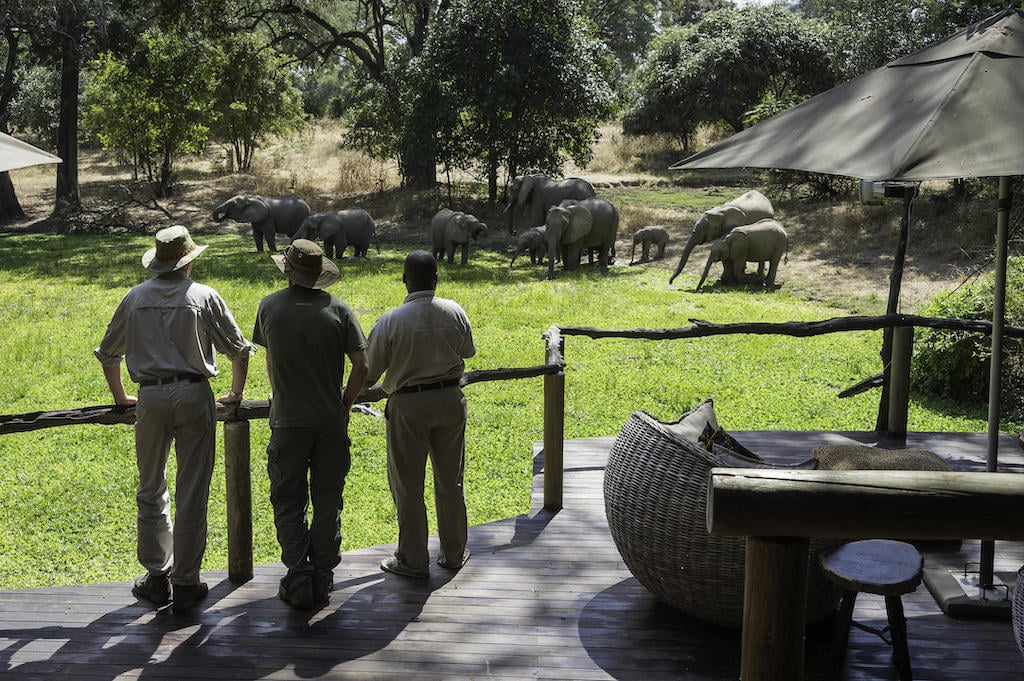 FALLS AND SOUTH LUANGWA CLASSIC