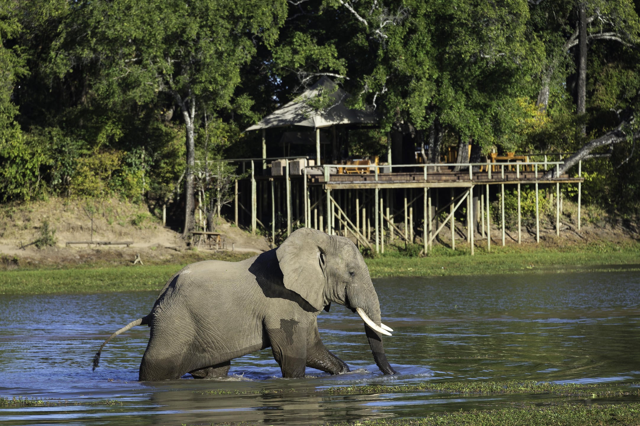 Falls And South Luangwa Classic