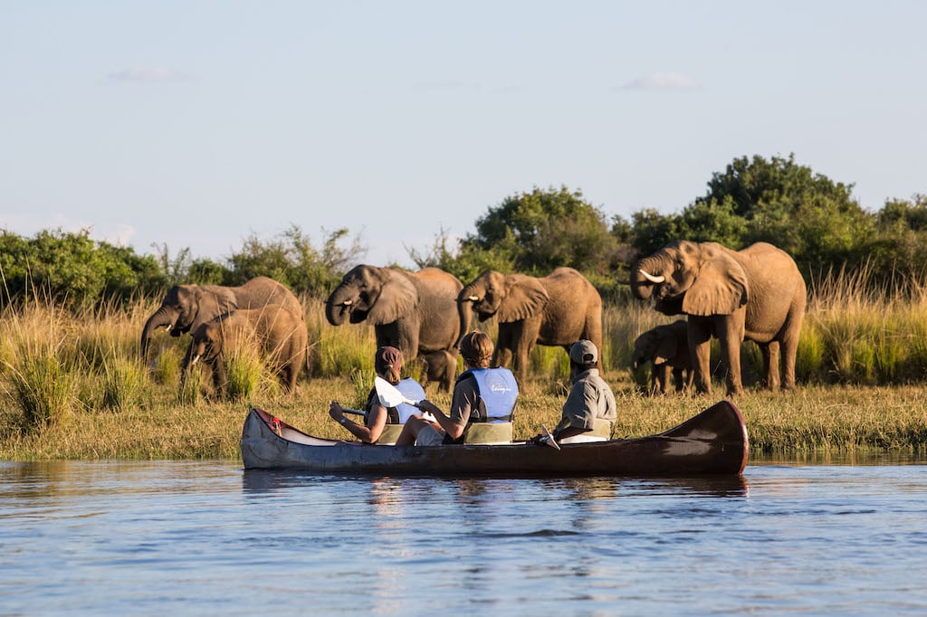 FALLS AND SOUTH LUANGWA CLASSIC