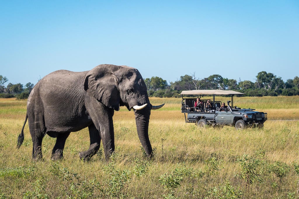 BEST OF BOTSWANA