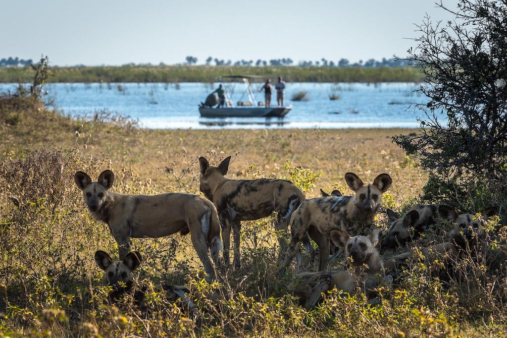 BEST OF BOTSWANA