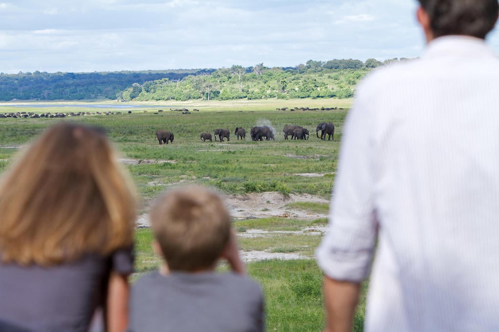 CHOBE & DELTA HIGHLIGHTS