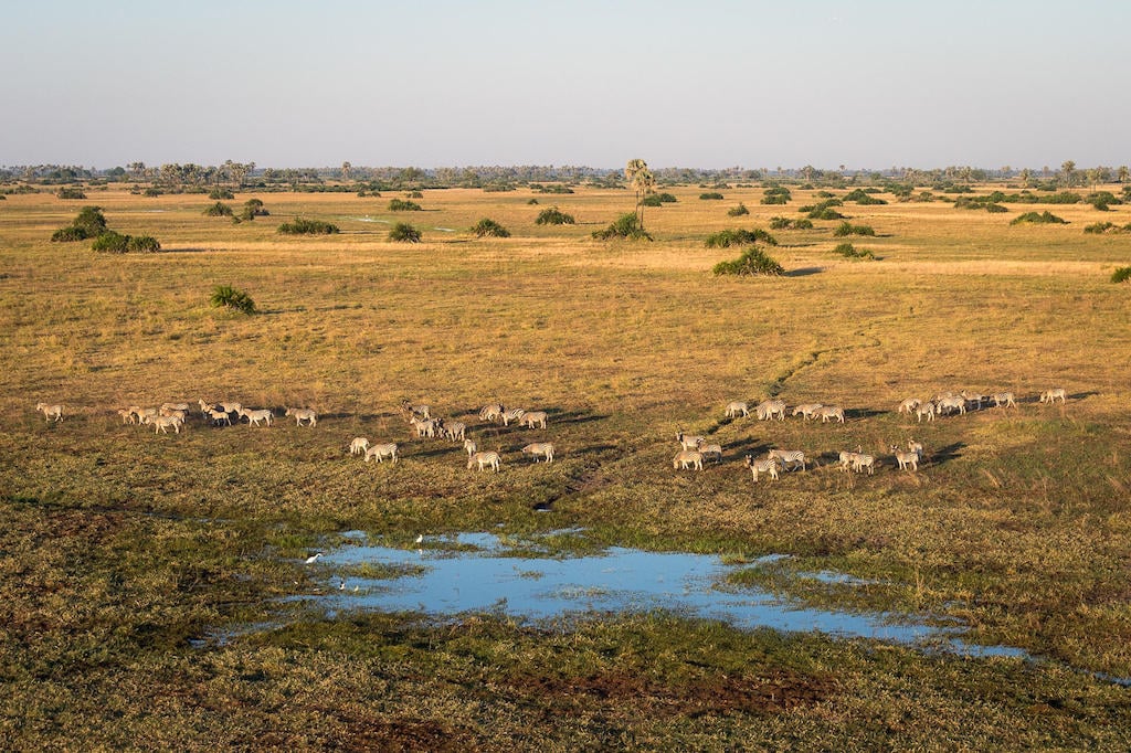 BEST OF BOTSWANA