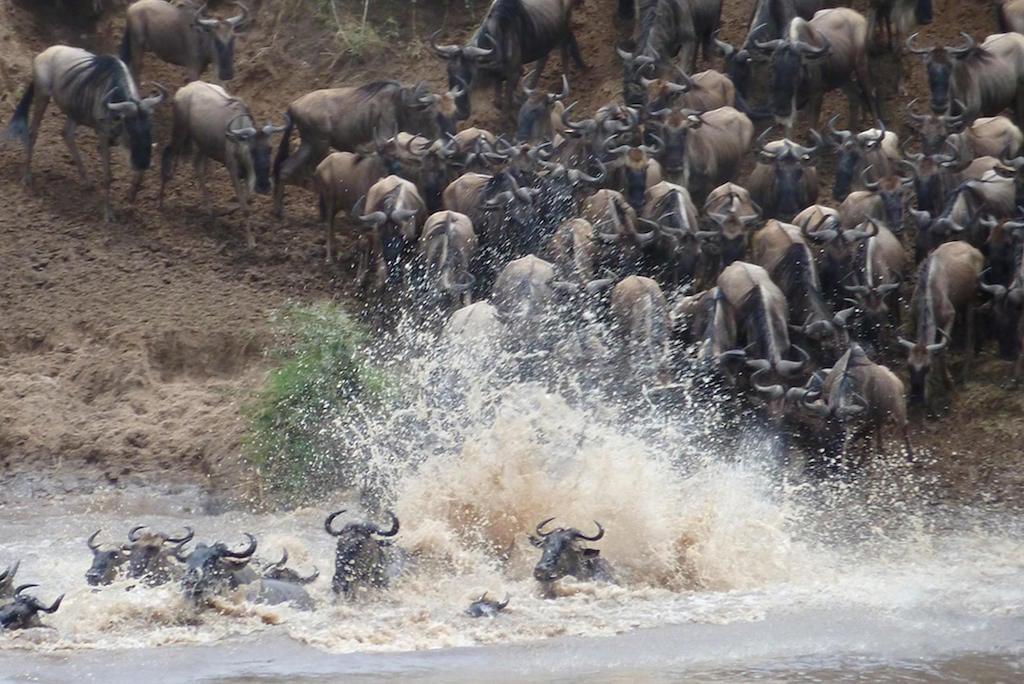 TASTE OF TANZANIA