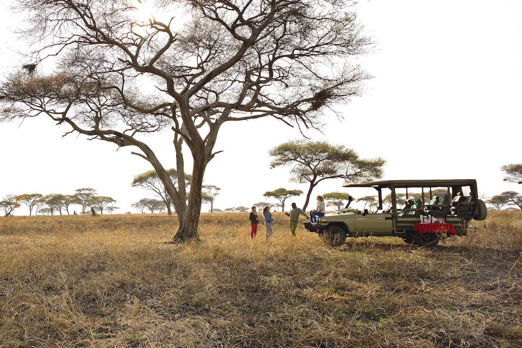 TASTE OF TANZANIA
