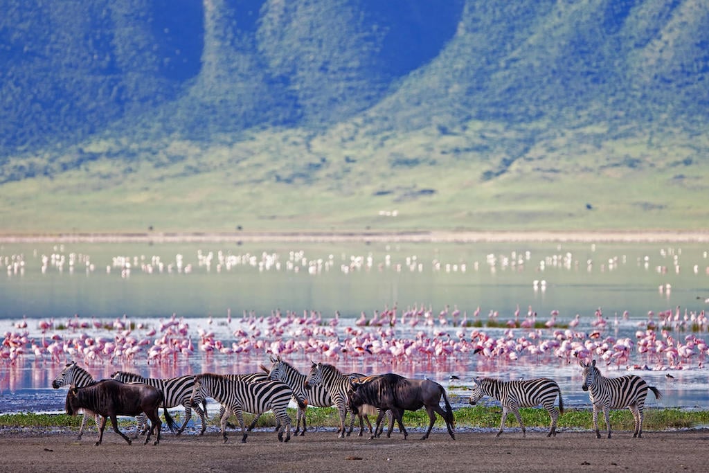 TASTE OF TANZANIA