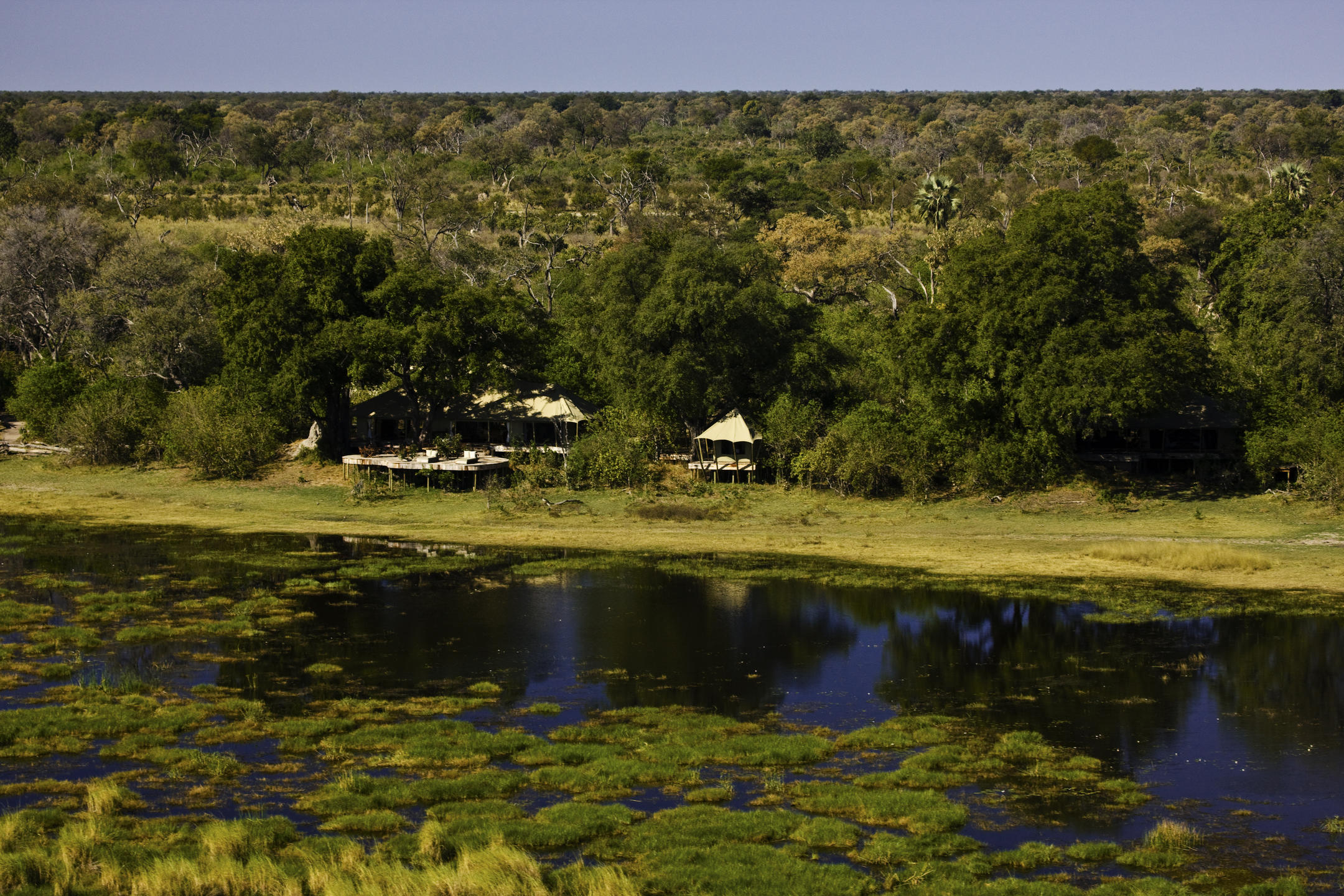 Read more about Zarafa Camp