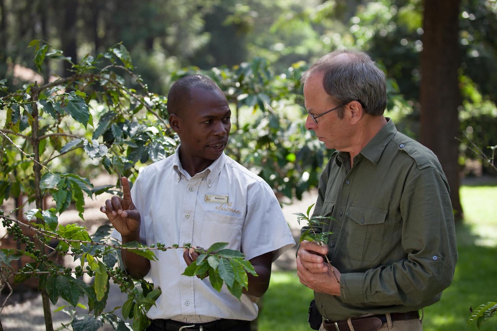 TASTE OF TANZANIA