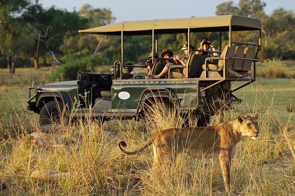 FALLS AND SOUTH LUANGWA CLASSIC