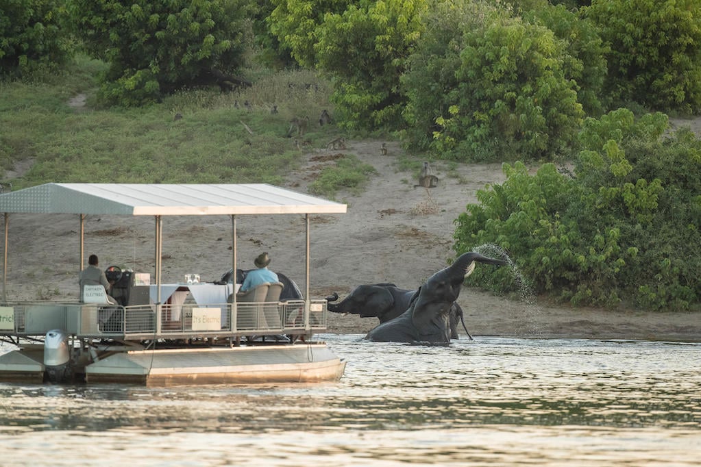 CHOBE & DELTA HIGHLIGHTS