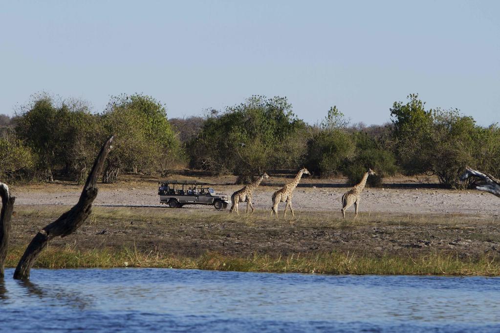 CHOBE & DELTA HIGHLIGHTS