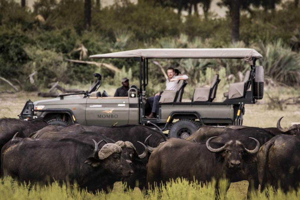 BEST OF BOTSWANA