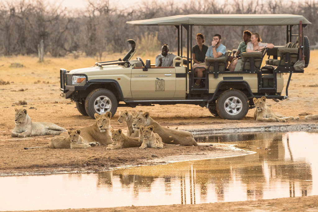 CHOBE & DELTA HIGHLIGHTS