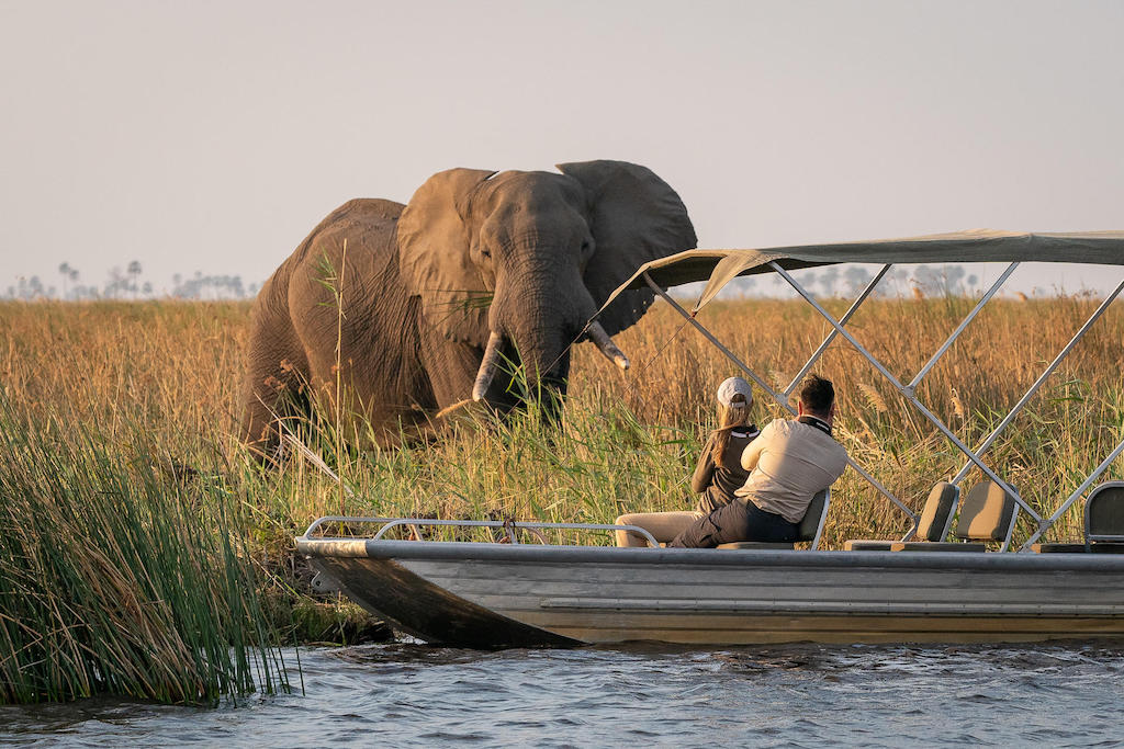 WILDLIFE WONDER