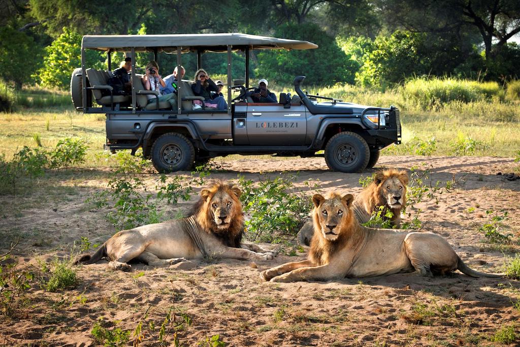 BEST OF ZAMBIA