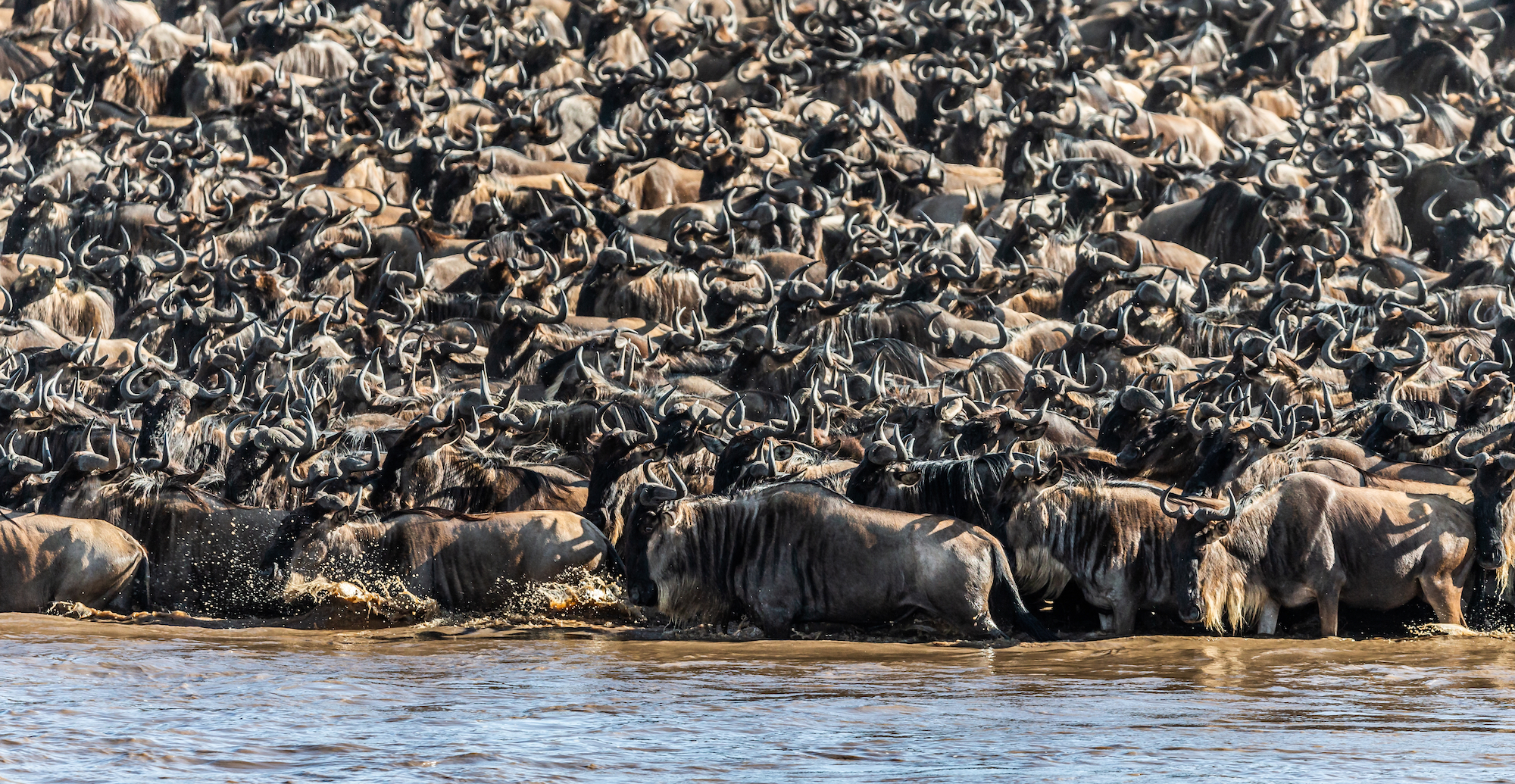 Northern Tanzania Highlights