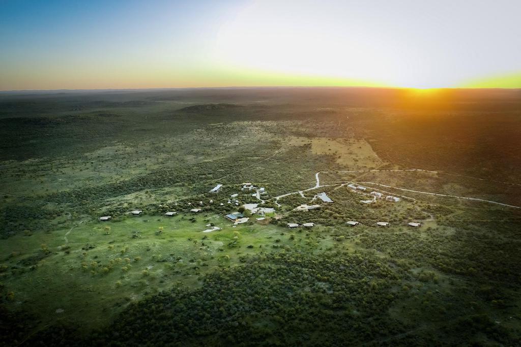READ MORE ABOUT ANDERSSONS AT ONGAVA